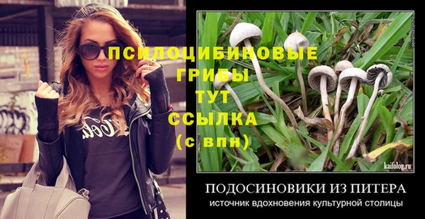 амф Михайловск
