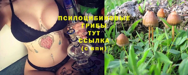 jwh Михайловка
