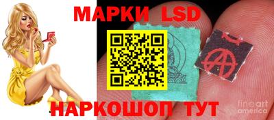спиды Аргун