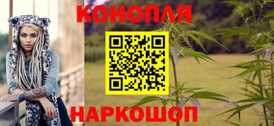 спиды Аргун