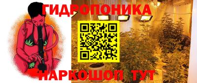 спиды Аргун