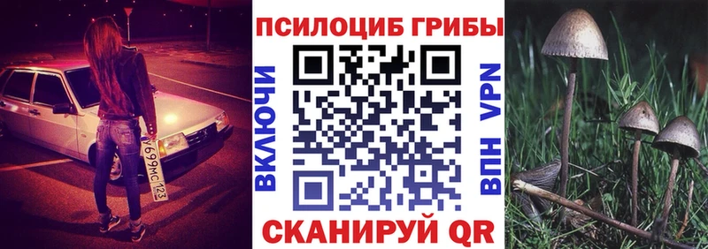 Галлюциногенные грибы GOLDEN TEACHER  хочу   Рассказово 