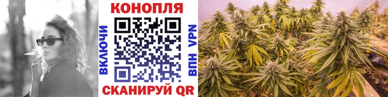 цены наркотик  hydra как зайти  Бошки Шишки конопля  Рассказово 